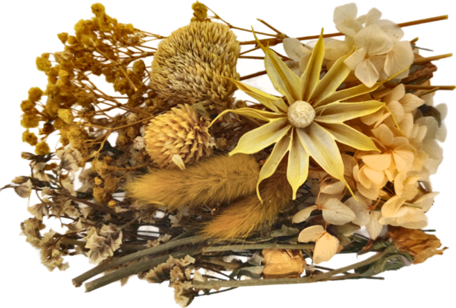 A-ONE 匯旺 乾燥花 B06 3盒, 黃海蝶舞