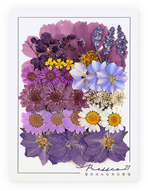 프레스코21 압화 종합팩, K128, 1개