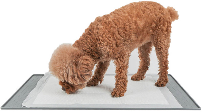딩동펫 반려동물 실리콘 식탁 방수매트 중형 60 x 40 cm, 1개