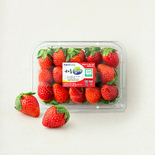 하동품애 GAP 설향 딸기, 500g(중과), 1개
