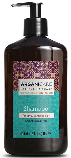 아르가니케어 아르간 오일 샴푸 건조&손상모발용, 400ml, 1개 - 쿠팡