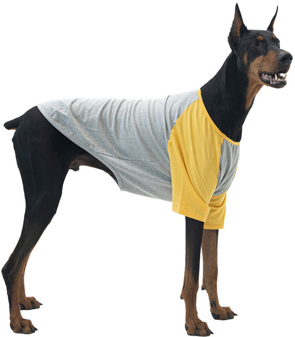 럭키페터 강아지 그레이시리즈 나그랑 티셔츠, 그레이 + 옐로우, 1개