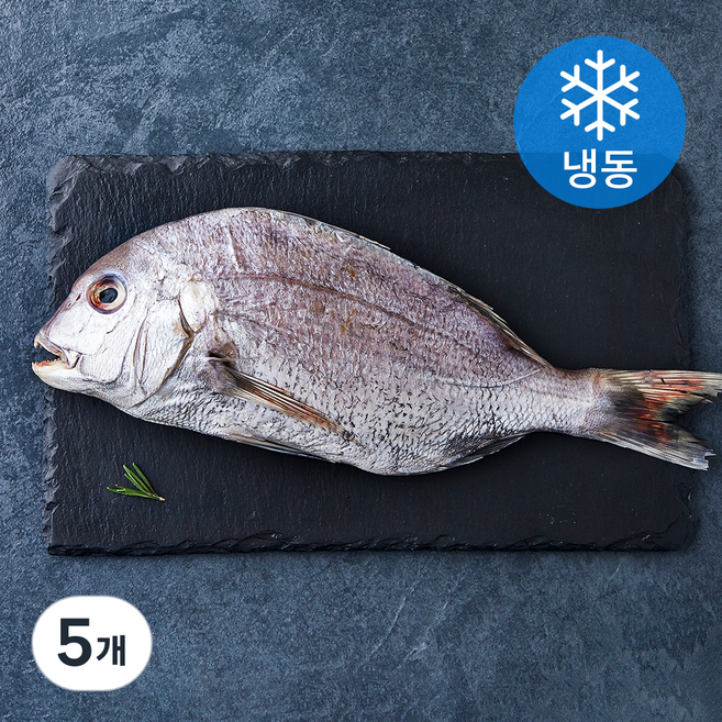 다미원 국내산 반건조 참돔 (냉동), 330g, 5개