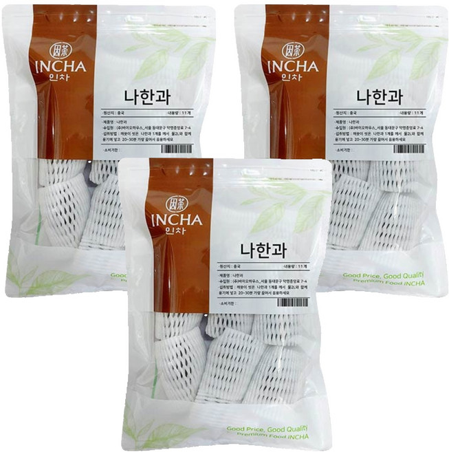 인차 나한과 열매 11p, 100g, 3개