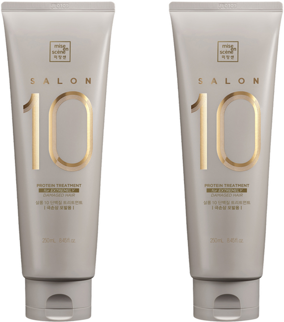 미쟝센 살롱 10 헤어트리트먼트 극손상모발용, 250ml, 2개