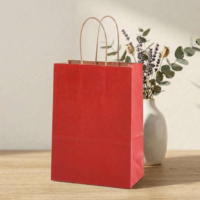데이코지 심플 종이봉투 무지 선물 쇼핑백, 레드, 10개