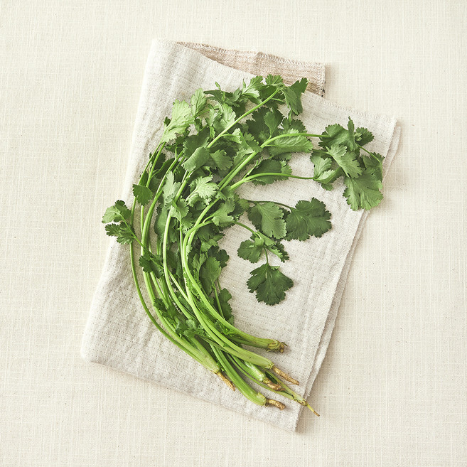 친환경 고수, 1개, 30g