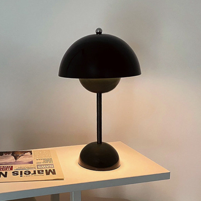 레나에너지 비비드 무드등 플라워팟 인테리어 조명, 매트블랙