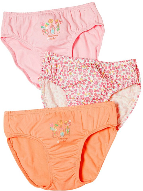 크리켓 트라이 여아용 삼각 팬티 3종 세트 CGPDH14