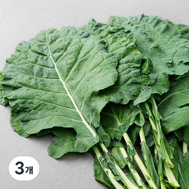 유기농 녹즙용 케일, 1kg, 3개