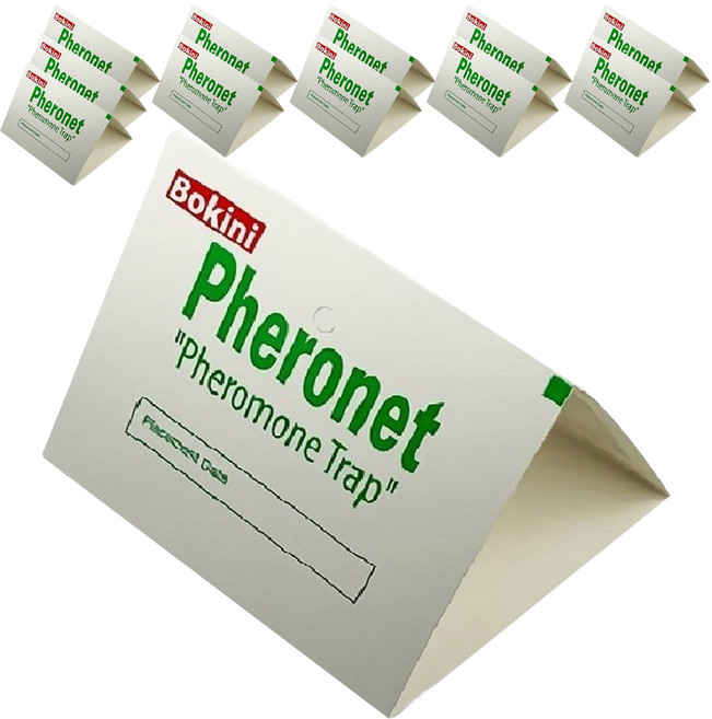보키니 화랑곡나방 권연벌레 페로몬 트랩 중, 12개
