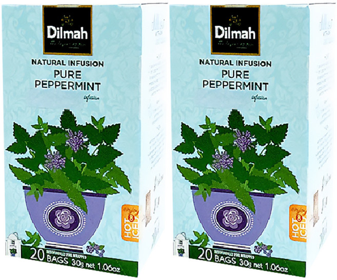 딜마 Funtea 페퍼민트, 1.5g, 20개입, 2개