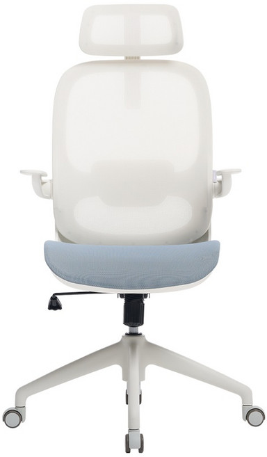 에르먼 S30 AIR 풀메쉬 컴퓨터 책상의자, 세이지블루