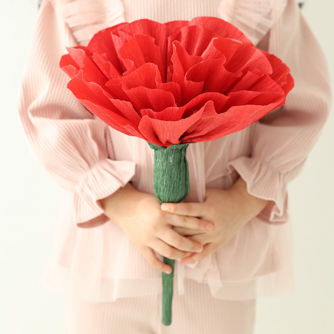 뷰티풀데코센스 조화 점보 카네이션 + 메세지태그 세트, 레드(조화), 1개