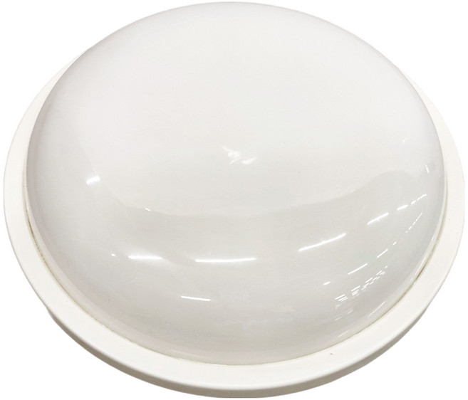 TRUNK 壯格 16W LED吸頂防潮燈 6500K 直徑22 x 6.5cm, 晝光色
