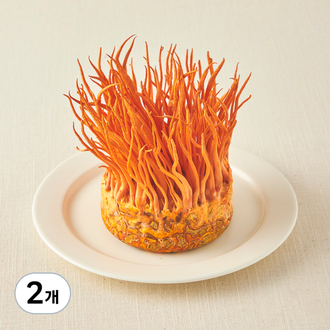국내산 친환경 동충하초, 170g, 2개