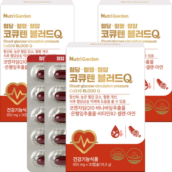 뉴트리가든 코큐텐 블러드Q 16.5g, 3개, 30정