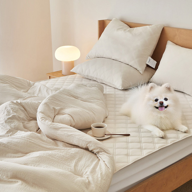 쁘리엘르 퓨어 워싱 마이크로화이바 차렵이불