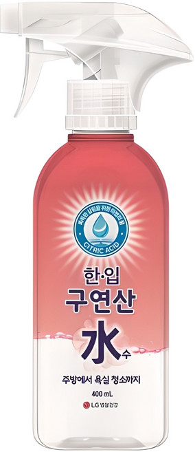 한입 구연산수 분무기형, 400ml, 1개