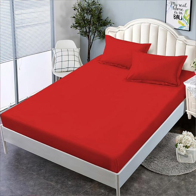 테리인 컬러 침대 매트리스 커버 + 베개 2p 세트