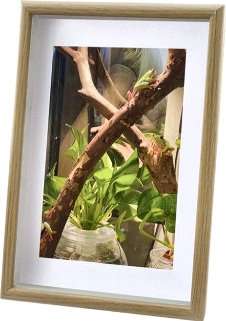 Life Shopping 來雪拚 簡約木紋桌框 A4, 原木色, 1件