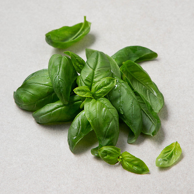 국내산 바질, 1개, 10g