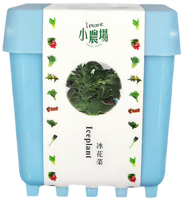 台灣 iPlant 積木農場盆栽, 冰花菜