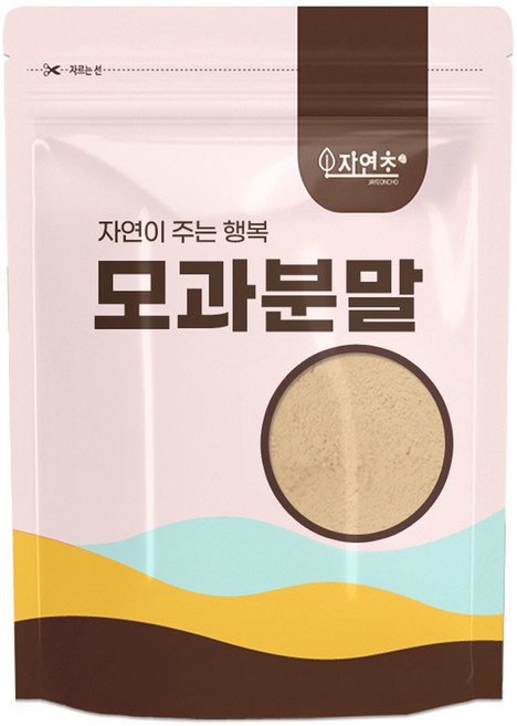 자연초 모과 분말 가루, 300g, 1개입, 1개