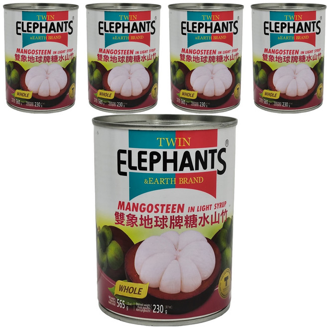 TWIN ELEPHANTS 雙象地球牌 山竹, 565g, 5罐