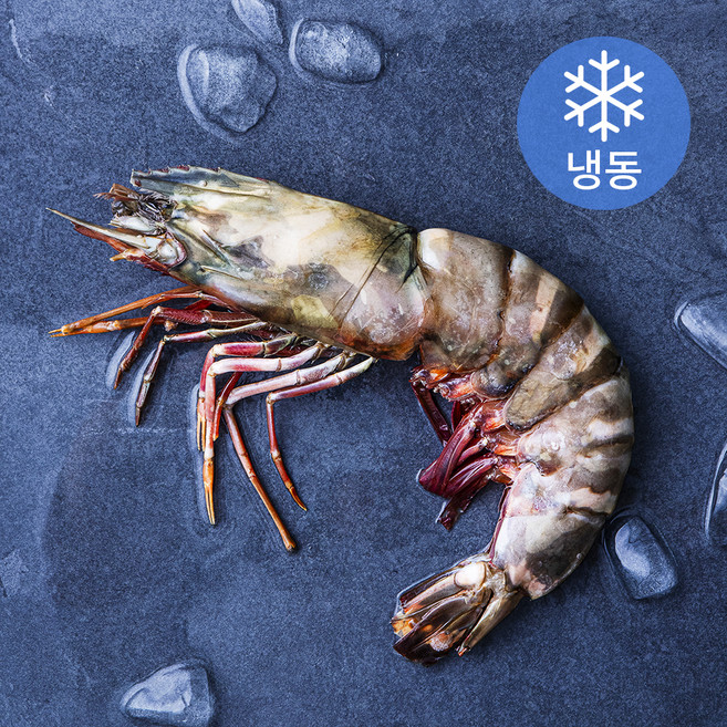 비비수산 킹타이거새우 (냉동), 310g(1미), 1개