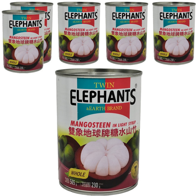 TWIN ELEPHANTS 雙象地球牌 山竹, 565g, 6罐