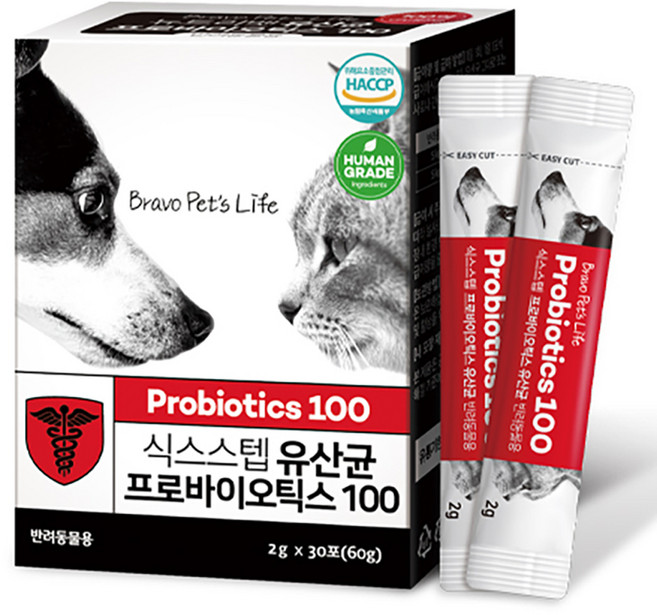 식스스텝 반려동물 영양제, 60g, 장건강/유산균, 1개