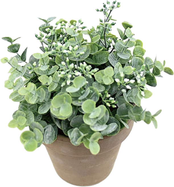 Garden in the City 人造粉彩尤加利葉裝飾品, 1個, 綠色