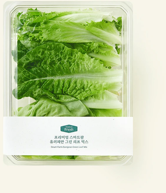 프리미엄 스마트팜 유러피안 그린 리프 믹스, 200g, 1개 - 쿠팡