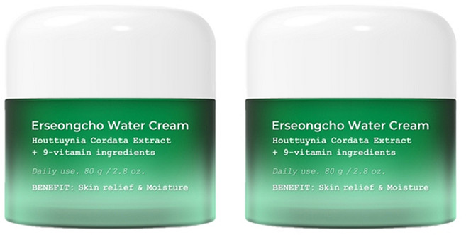 헤이네이처 어성초 워터 데이크림, 2개, 80g