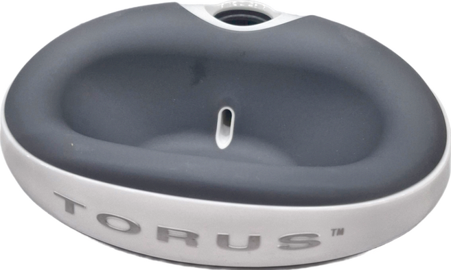 TORUS PET 寵物純淨過濾自動供水碗 32.5 x 8.5cm 1L, 灰色, 1個