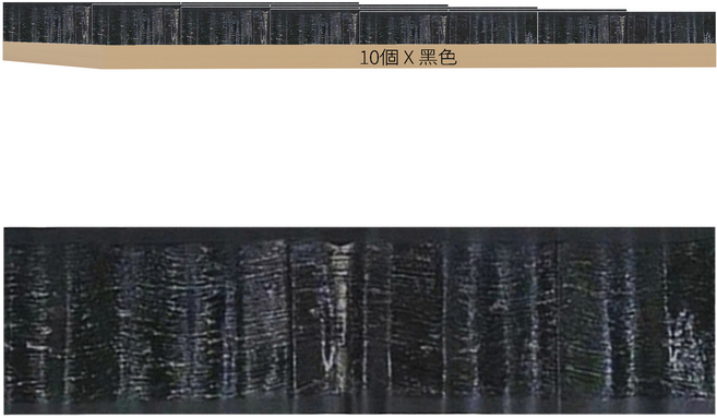 超長型滅鼠魔毯 超強力捕鼠板/黏鼠板, 10個, 1組