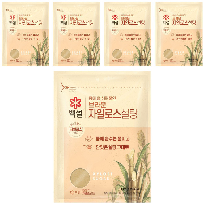 백설 자일로스 브라운 설탕, 1kg, 5개