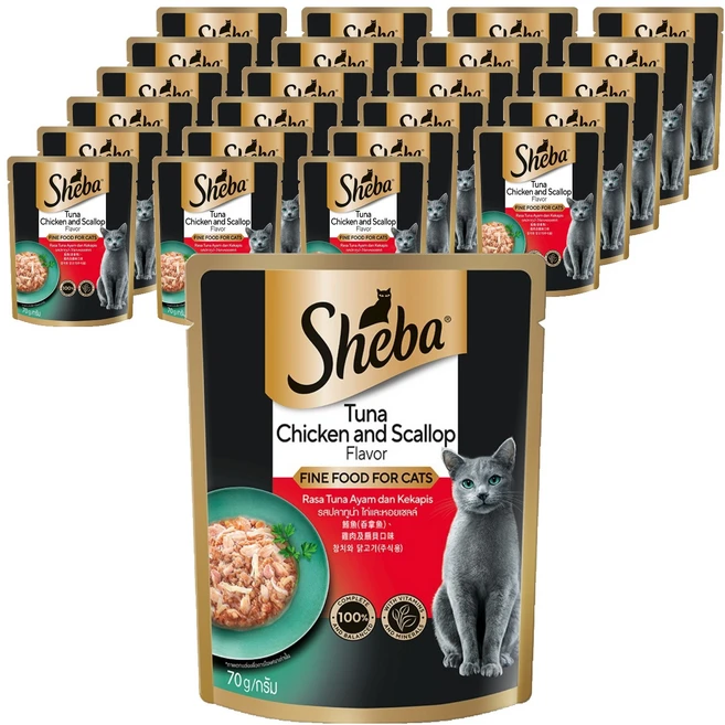 쉬바 고양이 주식 파우치, 닭+참치, 70g, 24개 - 쿠팡