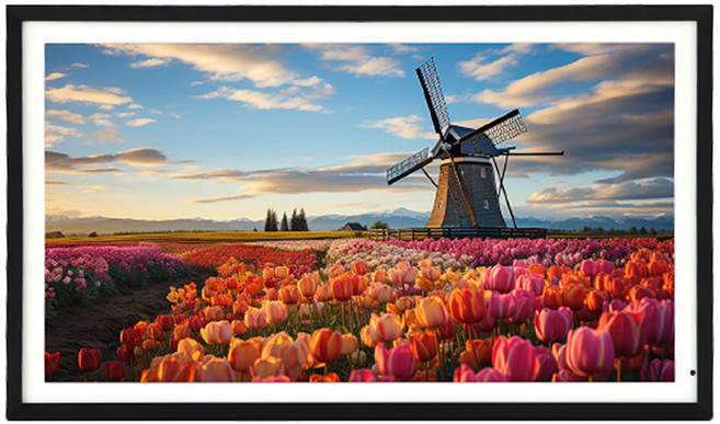 카멜 클라우드 디지털액자, CPF1320IPS, 블랙