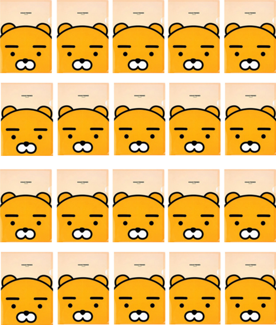 KAKAO FRIENDS L型資料夾, 萊恩, 20個