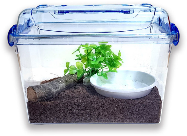 사필풍 달팽이 클린 초급자 세트, 혼합색상, 1개