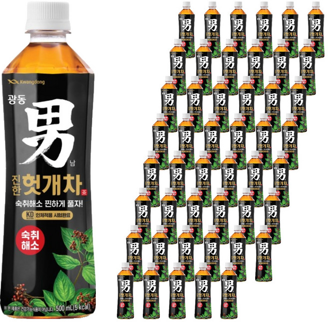 광동진한헛개차, 500ml, 48개
