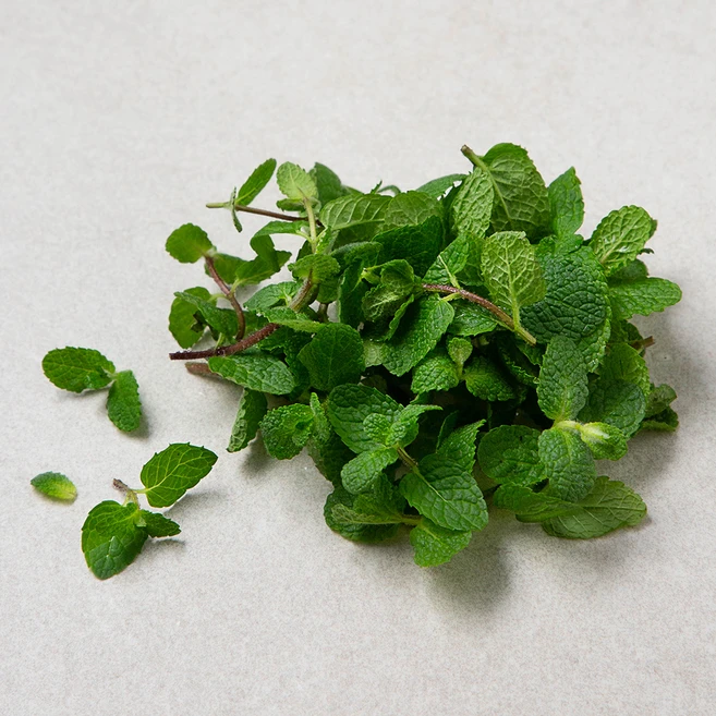 국내산 애플민트, 10g, 1개 - 쿠팡