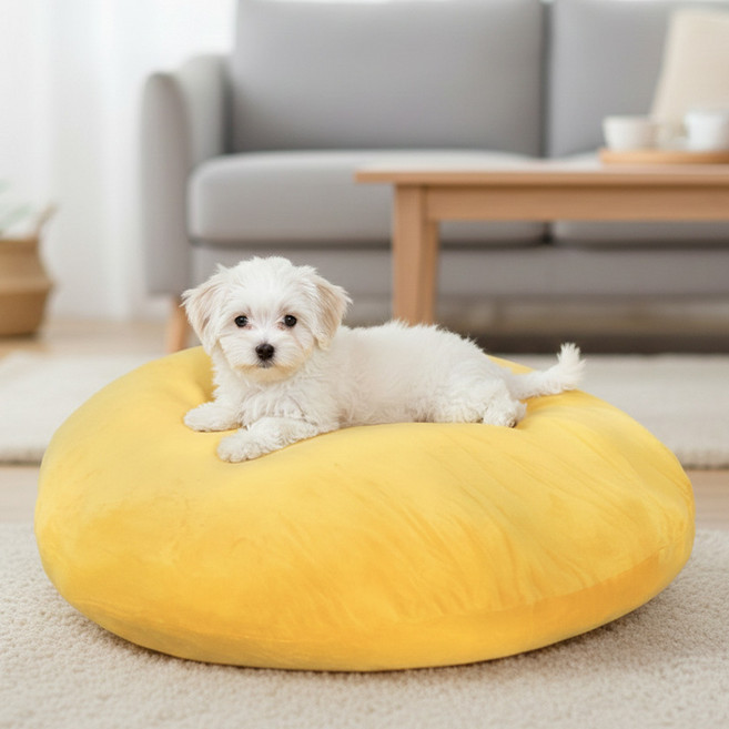 펫코노미 반려동물 찹쌀모찌 필로우 쿠션, 옐로우, 1개