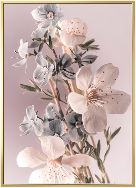 BOLUO GALLERY 菠蘿選畫所 掛畫 花語 蘋果花 BFEF3408G, 金色