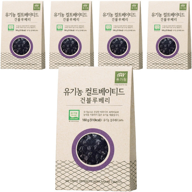 유가원 컬티베이티드 건블루베리, 160g, 5개