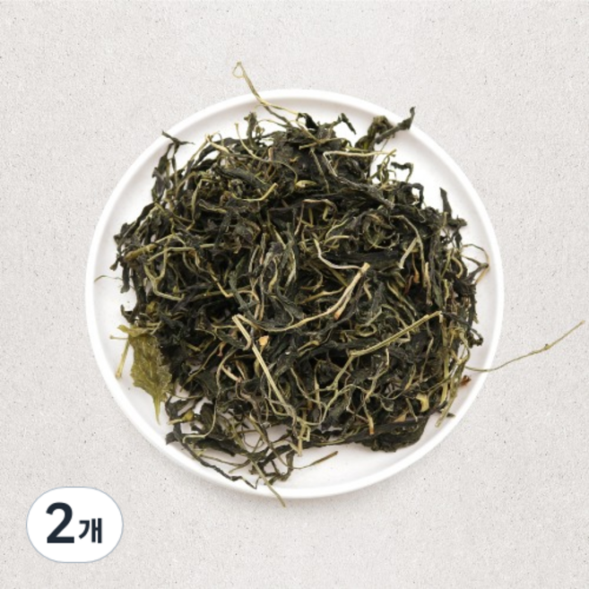 나물투데이 국내산 건고춧잎, 500g, 2개