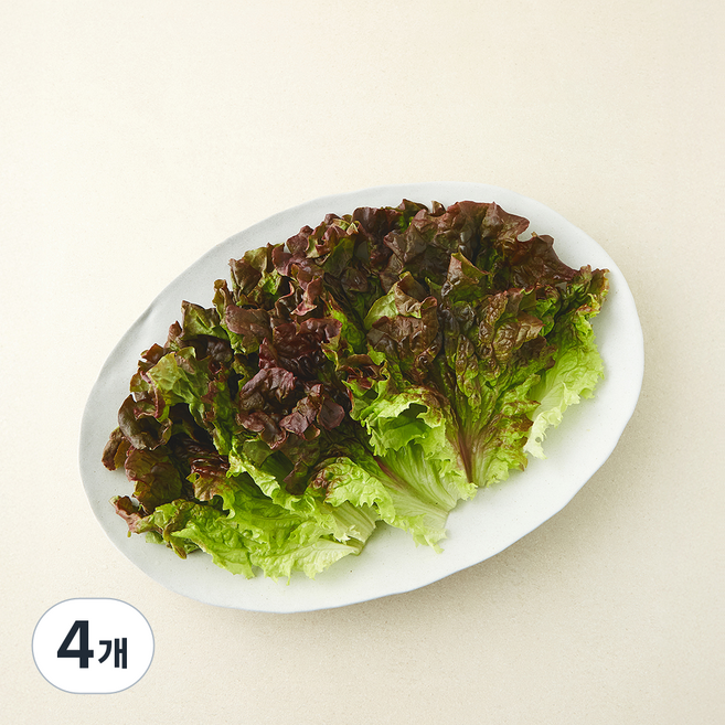 친환경 한끼 적상추, 80g, 4개