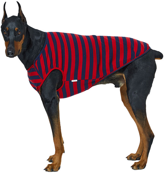럭키페터 강아지 베이직 스트라이프 민소매, 레드 + 네이비, 1개